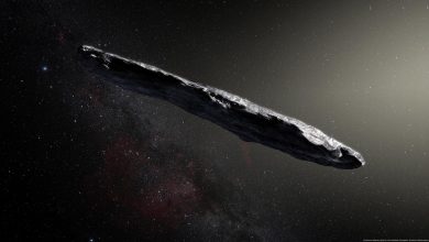 cometa - interestelar
