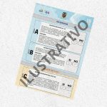 papeleta consulta popular