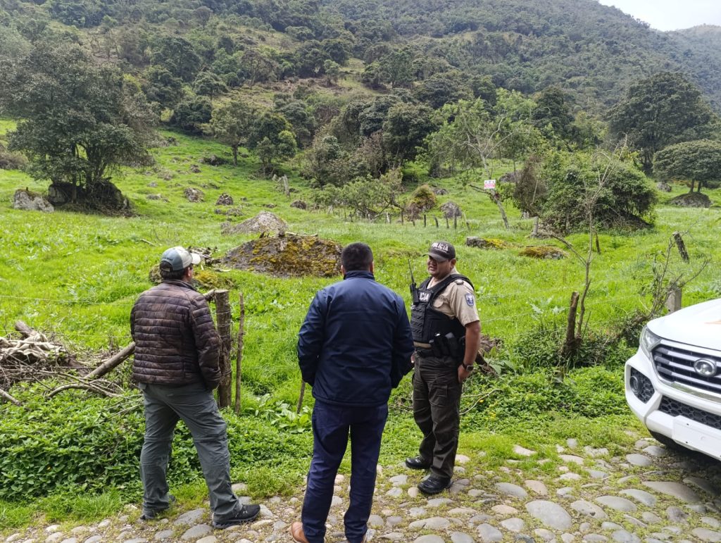 Autoridades investigan tala de árboles nativos en el Parque Nacional Cajas (PNC) en Cuenca.