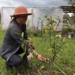 uso de hidrogel en la agricultura de Checa