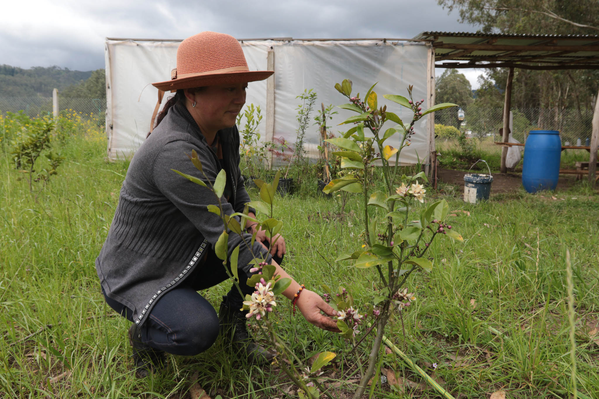 uso de hidrogel en la agricultura de Checa