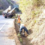 Hasta el 10 de diciembre se receptan las ofertas para la rehabilitación de la vía Cuenca – Molleturo – El Empalme. /Cortesía