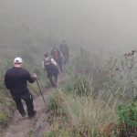 Decenas de personas han participado en la búsqueda del menor de edad. Foto: Bomberos Chunchi