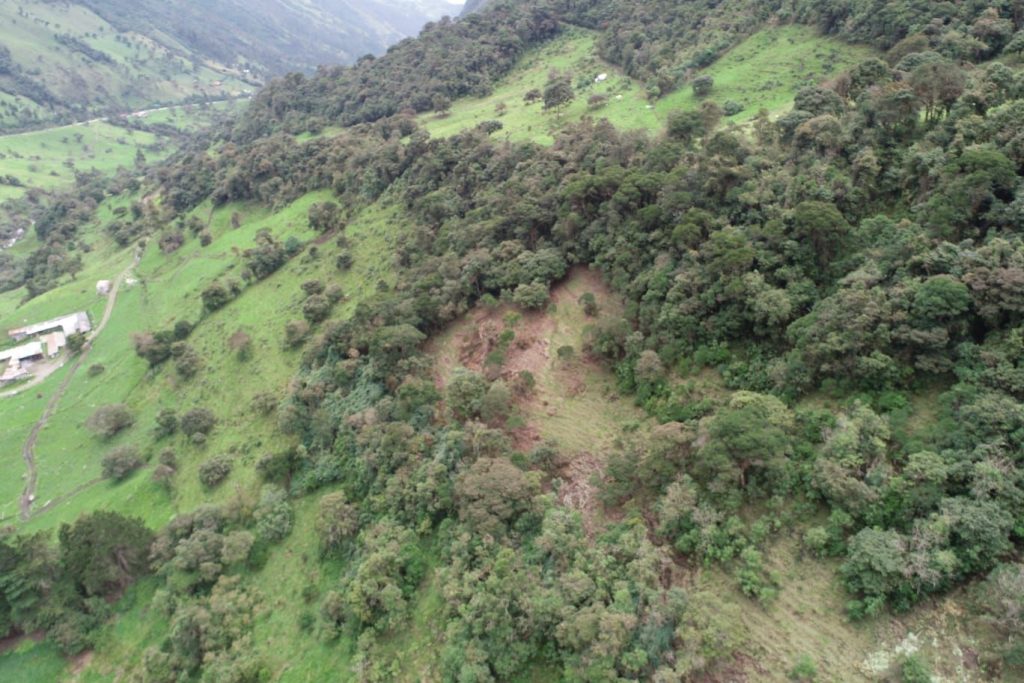 ETAPA EP reportó a la Fiscalía de Azuay la tala de árboles nativos en Llaviuco, en la zona de amortiguamiento del Cajas.