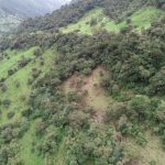 ETAPA EP reportó a la Fiscalía de Azuay la tala de árboles nativos en Llaviuco, en la zona de amortiguamiento del Cajas.