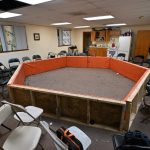 Un migrante ecuatoriano entre siete arrestados por peleas clandestinas de gallos en EE.UU.