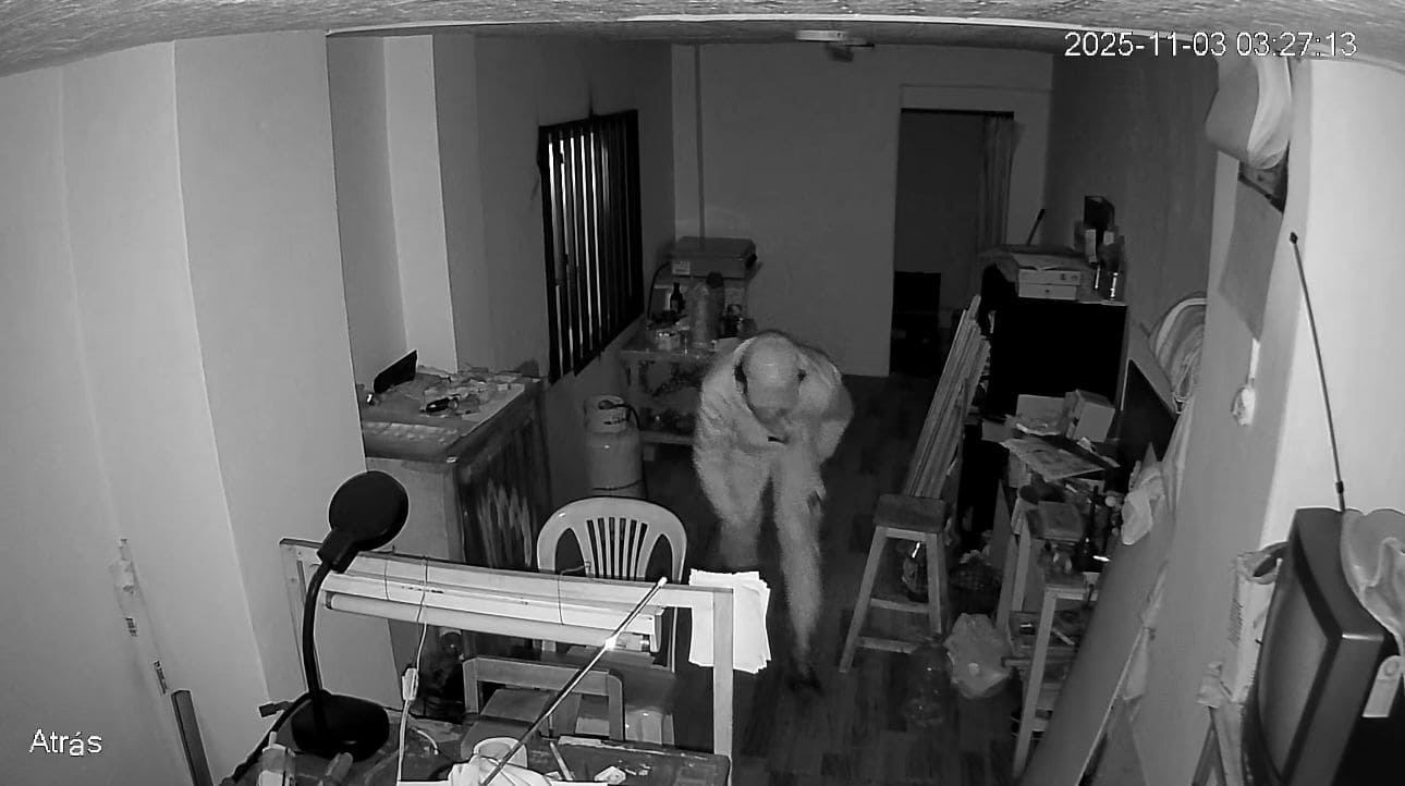 Delincuente perforó una pared e ingresó a una joyería en el centro de Cuenca.