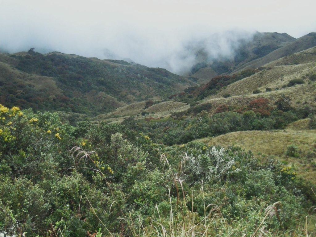Terrenos de la comuna Virgen del Rosario son parte de las áreas protegidas de Azuay. Foto: cortesía del MAE
