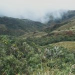 Terrenos de la comuna Virgen del Rosario son parte de las áreas protegidas de Azuay. Foto: cortesía del MAE