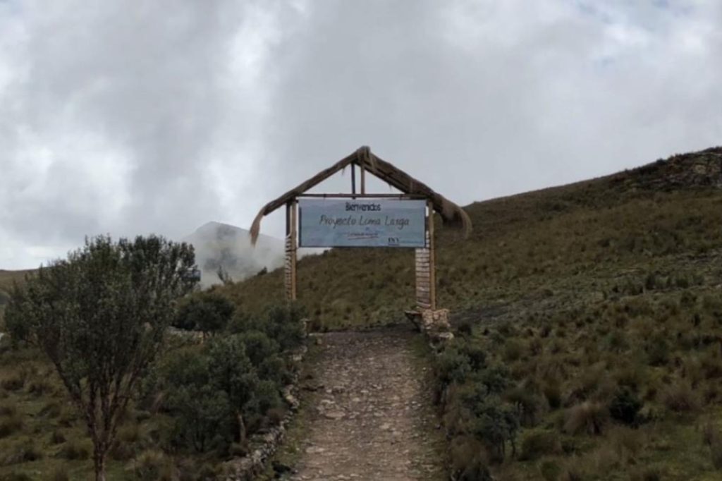 Organizaciones - proyecto