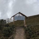 Organizaciones - proyecto