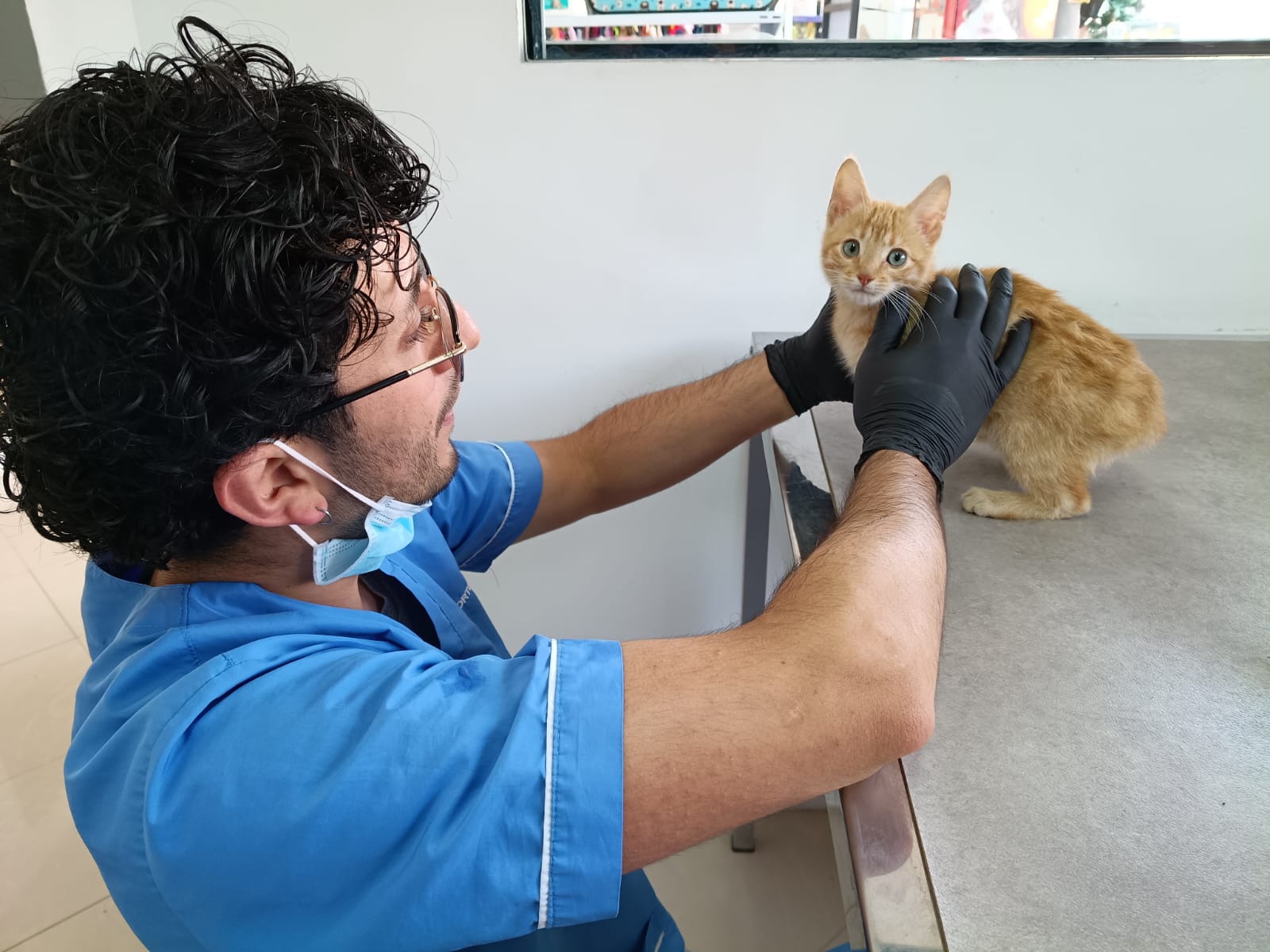 dueño - emergencias