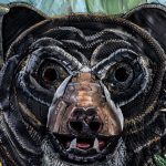 Una de las obras hechas con neumáticos. Foto: cortesía para El Mercurio