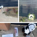 Entre los objetos hallados cerca de la vivienda del director de la cárcel de Turi constan tacos de dinamita, un oso de peluche y balas. /Cortesía