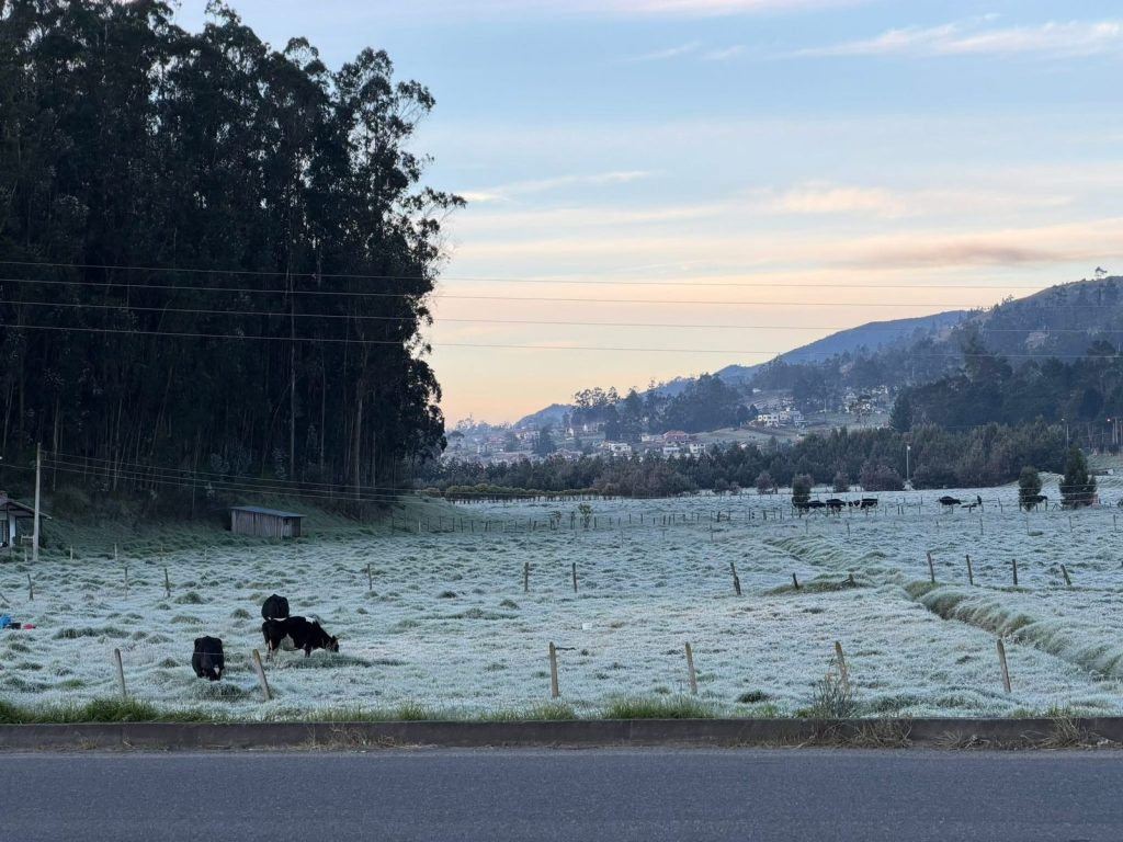 Heladas e incendios forestales en Azuay. La radiación solar es extrema y hay que tomar previsiones.