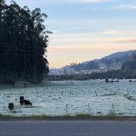 Heladas e incendios forestales en Azuay. La radiación solar es extrema y hay que tomar previsiones.