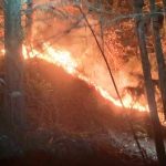 La Secretaría Nacional de Gestión de Riesgos (SNGR) informó que van 43 incendios forestales en Azuay en lo que va de diciembre.
