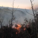 Los bomberos de Cuenca atendieron varios incendios al mismo tiempo. Foto: Bomberos Cuenca