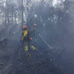 Bomberos enfrentando uno de los incendios forestales registrados en Cuenca. /Cortesía