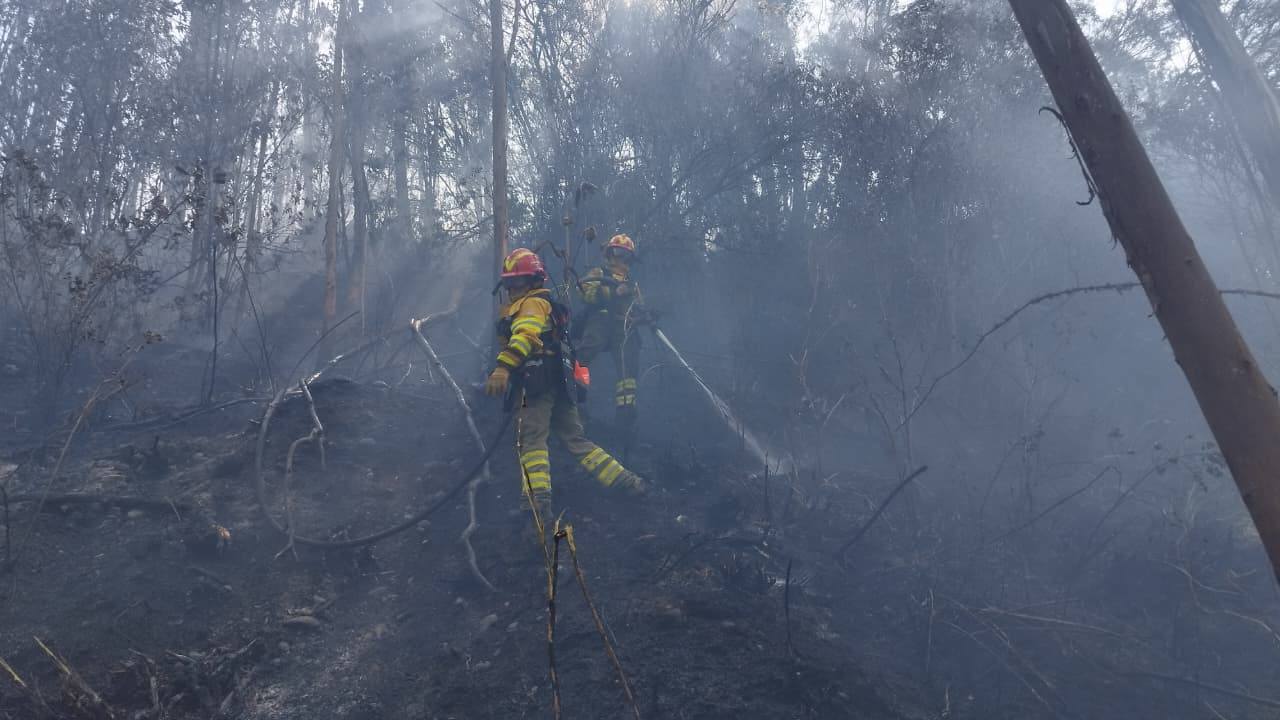 Bomberos enfrentando uno de los incendios forestales registrados en Cuenca. /Cortesía
