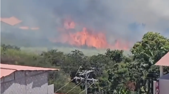 Grave incendio forestal en el cantón Santa Isabel, en Azuay. Llamas están cerca de viviendas.