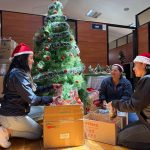 San Joaquín - fundas