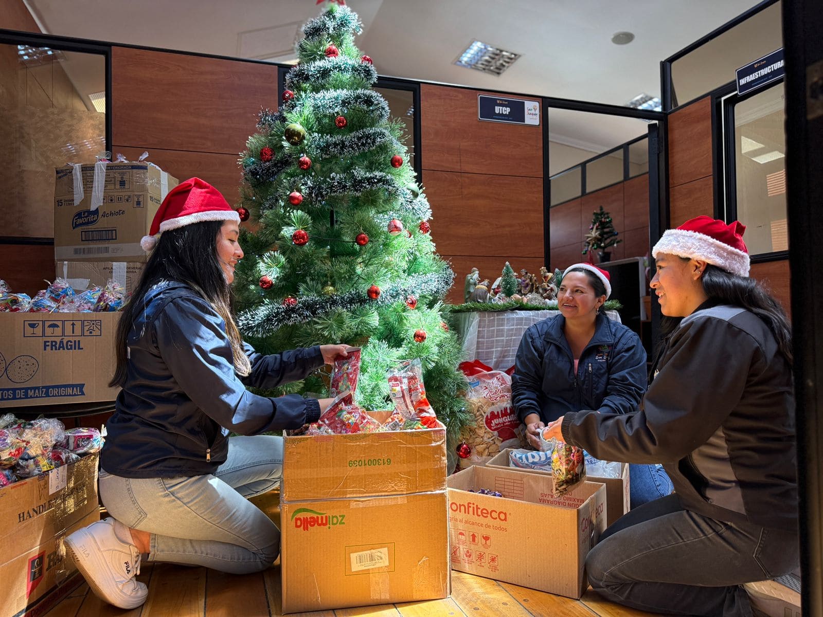 San Joaquín - fundas