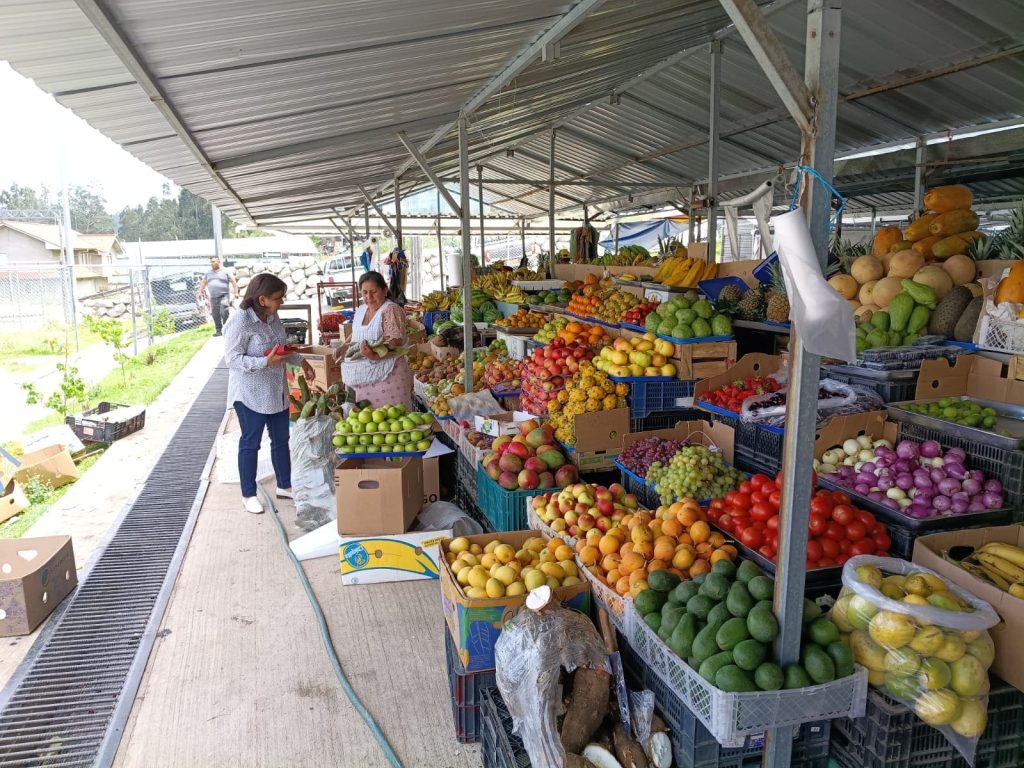 plataforma - Narancay