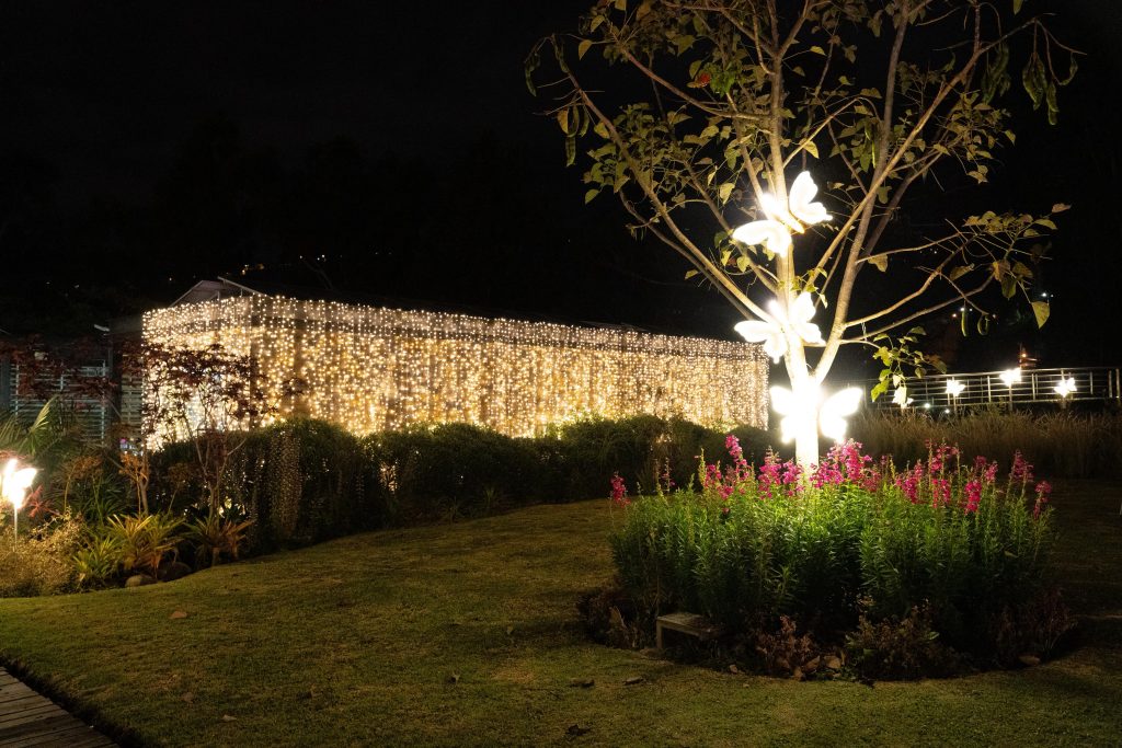 El Jardín Botánico está iluminado con motivos navideños. Foto: Alcaldía de Cuenca