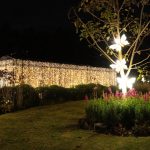 El Jardín Botánico está iluminado con motivos navideños. Foto: Alcaldía de Cuenca