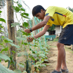 El Bachillerato Técnico está enfocado para todos los jóvenes con escolaridad inconclusa. Foto: Ministerio de Educación.