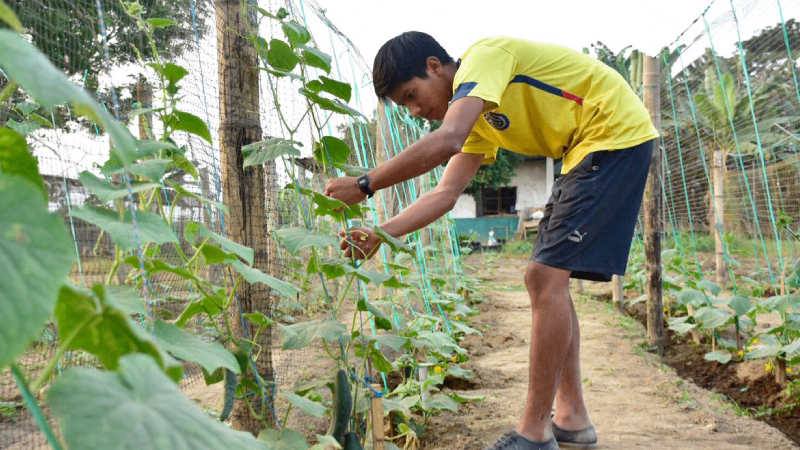 El Bachillerato Técnico está enfocado para todos los jóvenes con escolaridad inconclusa. Foto: Ministerio de Educación.
