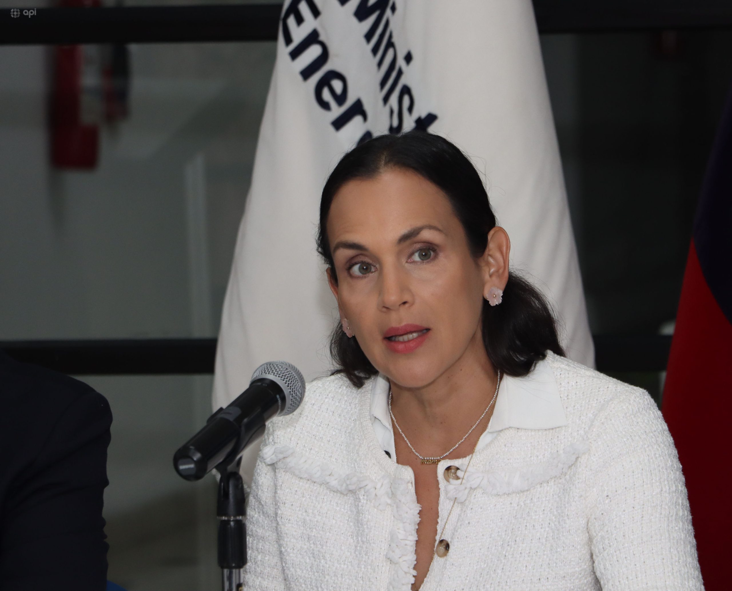 Inés Manzano se refirió este 23 de enero al sistema eléctrico de Ecuador. Foto: API/Archivo