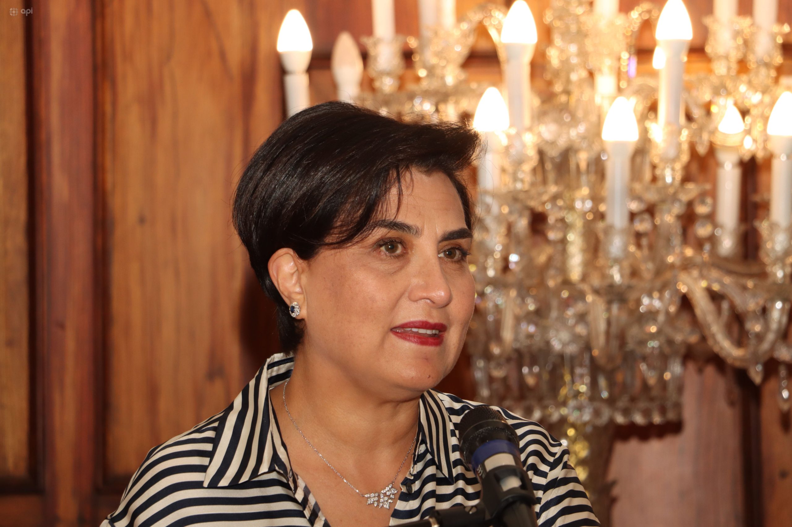 La canciller Gabriela Sommerfeld, habló sobre los ecuatorianos detenidos en Estados Unidos. Foto: API/Archivo