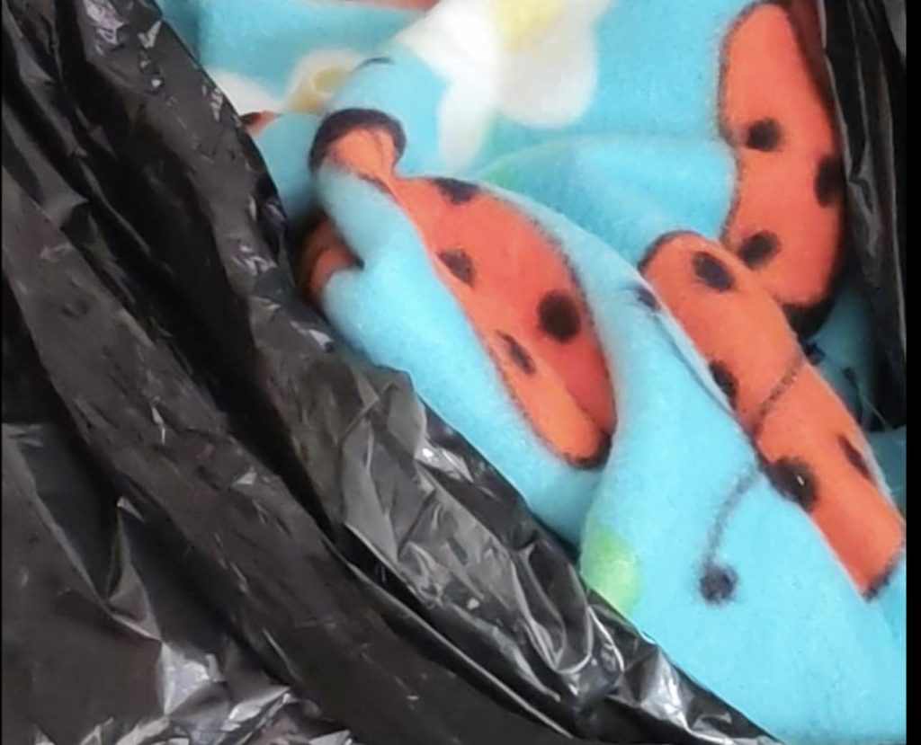 En un bolsa, envuelto en una colcha, se encontró al niño. Foto: Cristian Zamora/Facebook