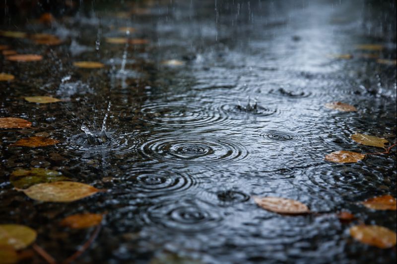 Las lluvias continuarán en algunos sectores de Ecuador. Foto: IA