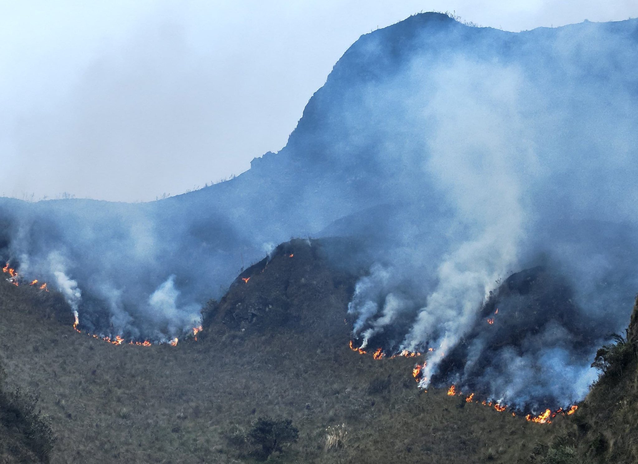 Docenas de bomberos participaron para combatir el incendio en Llaviuco. Foto: Cuerpo de Bomberos de Cuenca