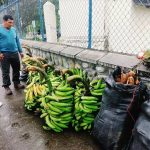 Agricultor llega de Tiwintza a Cuenca para vender productos para salvar a su hija. Para salir de su finca tiene que navegar tres horas.