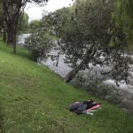 inseguridad - social