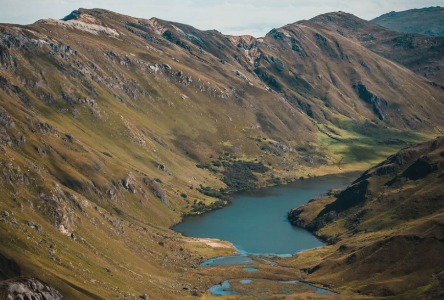 Una denuncia ciudadana alertó sobre una presunta tal y quema de árboles en la laguna de Sisirín. /Cortesía