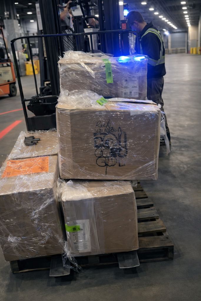 El cuy ecuatoriano vuelve a conquistar EE.UU.: Mr. Cuy exporta nuevo lote desde Azuay. Son cuyes del Sígsig.