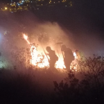 Un grave incendio forestal está activo en el sector de El Descanso. /Cortesía