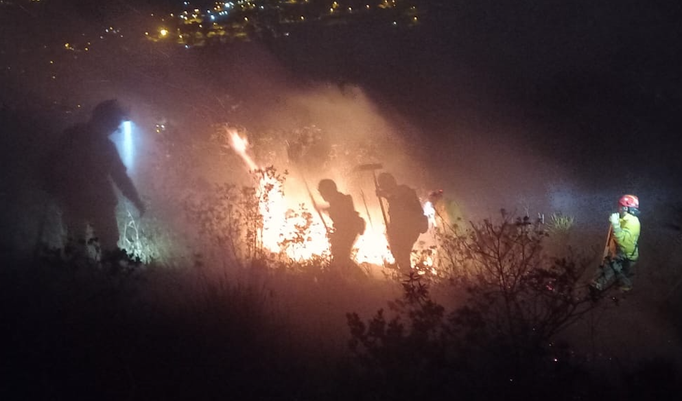 Un grave incendio forestal está activo en el sector de El Descanso. /Cortesía