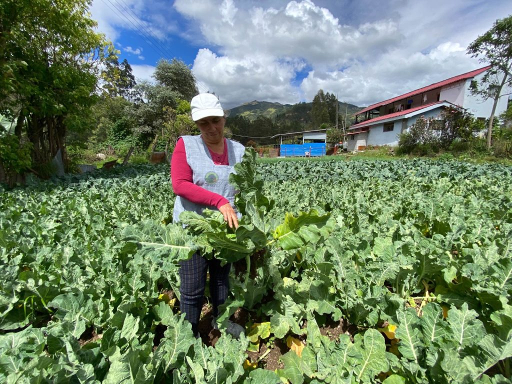 colectivos - mujeres