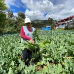 colectivos - mujeres