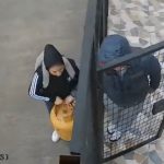 Antisociales roban cilindro de gas.