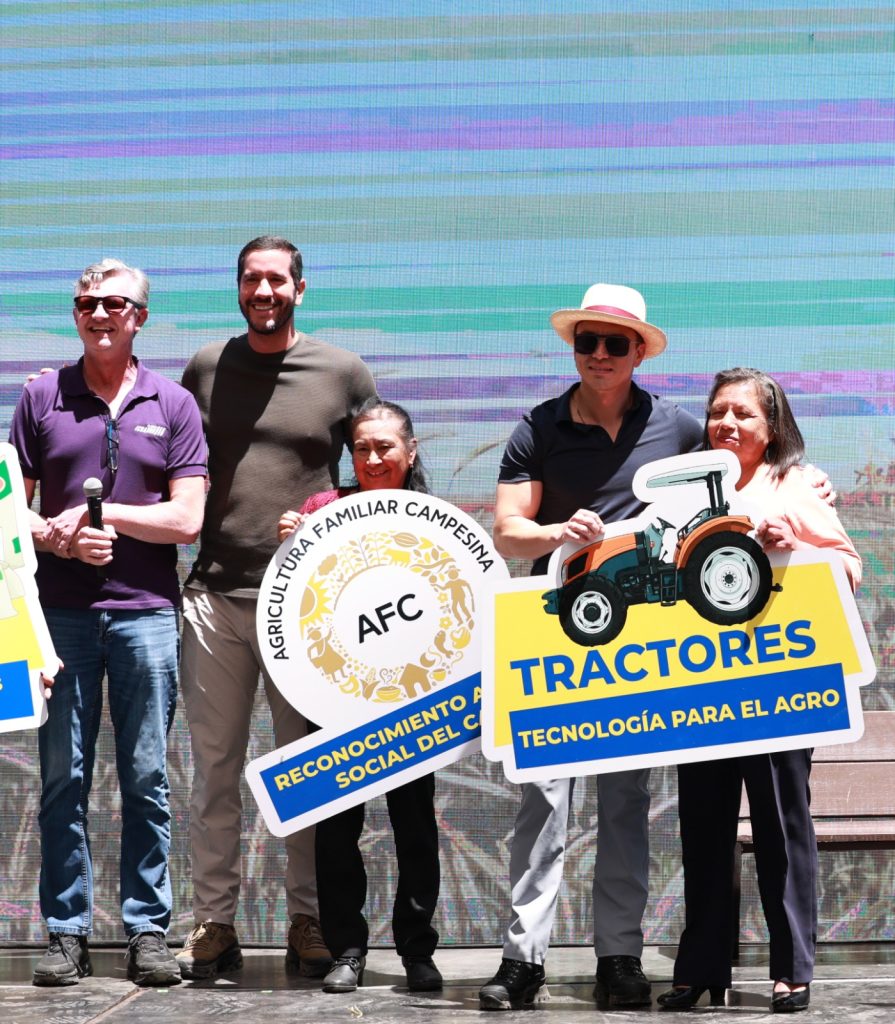 Gobierno - actividades