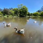 Parque - El Paraíso