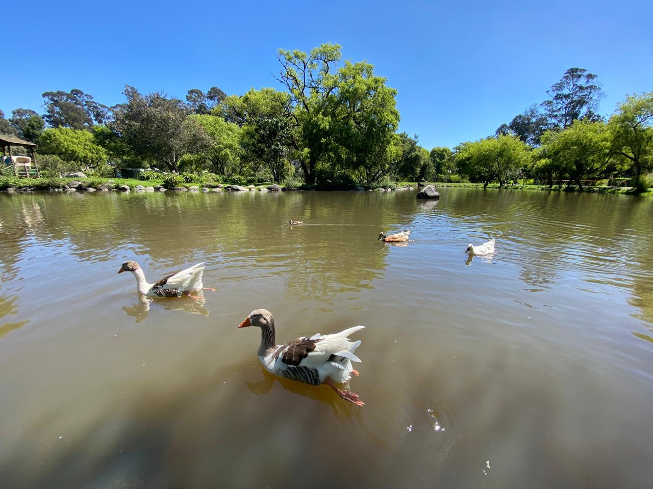 Parque - El Paraíso