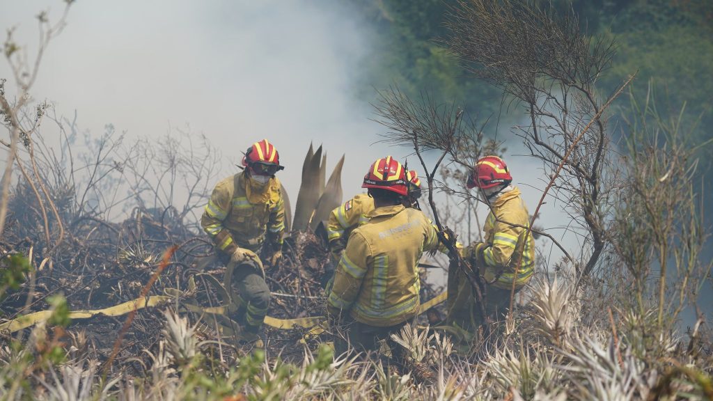 El incendio consumió al menos unas 15 hectáreas de terreno en El Descanso. Foto: Cuerpo de Bomberos de Cuenca